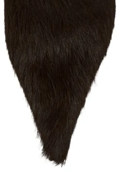 DARING-F -Jeffrey Campbell Store daring f yyh 156734