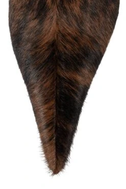 PROPOSAL-F -Jeffrey Campbell Store proposal f knee high boot yyh 404653